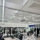 머슬리 짐 PT 이미지