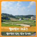 【횡성】웰리힐리 리조트 놀거리 즐길거리 레포츠