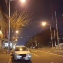 시계반점 이미지