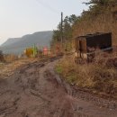 태청식당 이미지