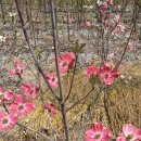 정모농장 이미지