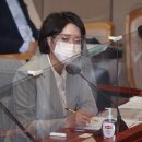 이영 카카오 검색결과