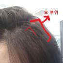 [내돈내산 솔직후기]장지역 장루이다비드 펌 후기