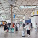 몽골여행 MIYAT 미야트항공 인천공항 1터미널 카운터 기내식 신청 후기