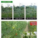 유인농장 이미지