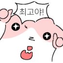 멍펜션14 네이버블로그