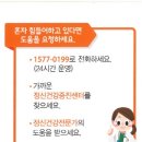 선산약국 이미지