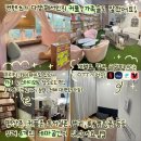 진주 가좌동 만화카페 / 경상국립대 북카페 [카페앤북스] 후기