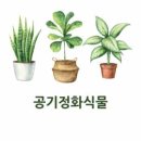 그림책 원예테라피 이미지