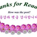 이마트 트래더스 이미지