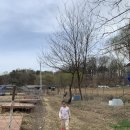 시형농장 이미지