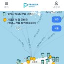 푸른컵 네이버블로그