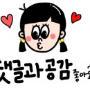 냠냠숯불두마리치킨 남양주별내점