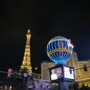 프리미엄아울렛 앞 횡단보도 이미지