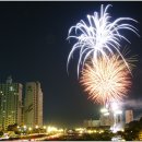 불꽃돼지 이미지