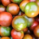 호윤농장 이미지