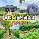 궁남지 서동문화관 화장실 | 7월 여름 축제 충남 부여 가볼만한곳 궁남지 서동연꽃축제 후기
