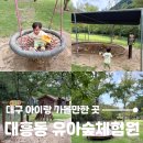 유아숲체험원(제3호) | 대구 아이랑 가볼만한 곳, 모래놀이 짚라인 등 여러 체험시설이 있는 수성구 유아숲체험원