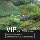 경북 의성묘지 이장 개장 vip장묘 이장 서비스 감동과 안정을 드립니다