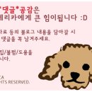에스디플레이스 이미지