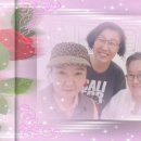 차선생의아뜰리에