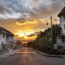 (주)팜미디어 이미지