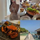 산호커피숍 - 사상구 사상로 338 | 몰디브 리조트 쿠라마티 4일차 스노쿨링, 아일랜드 커피숍, 더리프