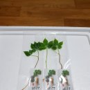섬진수산식품 네이버블로그