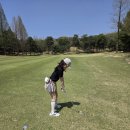 MS골프아카데미 | 불당 MS 골프 아카데미 상록CC 필드레슨 후기