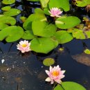 우도피아 이미지