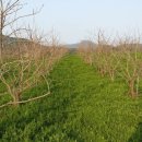 상원농장 이미지