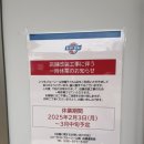 오키나와 주절주절