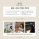 고산중학교 | [대구 샌드아트] 경북 고산중학교 장애인식개선 교육 / 장애이해교육 샌드아트 공연&amp;체험
