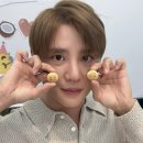 코코넛라이브