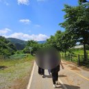 가평 여행 숲 뷰 숙소 추천 / 독채 펜션 개별 수영장 및 스파 포함, 픽업 서비스 :: 루엔풀빌라 후기!!