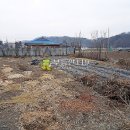대광리농장 Daum카페
