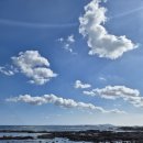 해녀노래 | 제주여행, 해녀박물관 그리고 귤 따기 체험