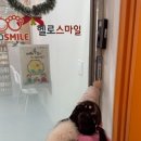 [사춘기 심리학] 청소년 정신건강 코칭 | 대전심리상담센터 사춘기인지 등원거부하고 집에서 말도 안하고 부모로서 어떻게 해야 할까요