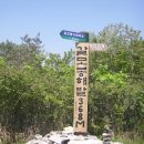 편백산림욕장 진입로 이미지