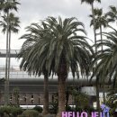 위드모텔 | 길갈팜랜드, 로미뮤직하우스, 백한철꽈배기, 동백포레스트, 플로웨이브, 오설록 말차누들바, 유람위드북스