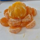 부천미래클공유학교 푸드테라피 톡톡마음요리