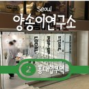 스몰타운스몰