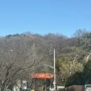 봉덕칼국수 | 과천 봉덕칼국수 후기