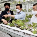 스마트팜 이미지