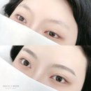 메이릴리 이미지