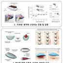 씨앗소프트