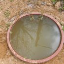 연못들4 이미지