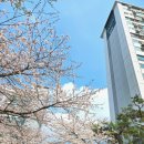 행님디저트까페 부천점 | 부천 건강디저트 카페 추천 카페다람 디저트 후기