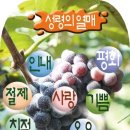 성경을 “레마”로 열어 보려면 139번째 이미지