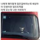 매일봄 이미지